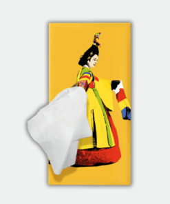 Hanbok Tissue case